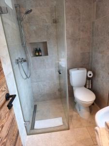 a bathroom with a shower and a toilet at Apartment King Louie in Prien am Chiemsee