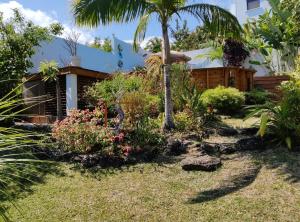 a garden with flowers and a palm tree in front of a house at Chez Evelyne et Thierry in Saint-Leu
