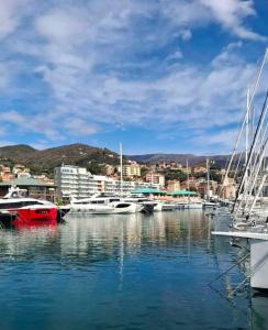 a group of boats docked in a harbor at Blu Oltremare camere bijoux in Varazze