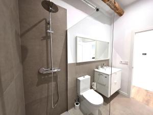 a bathroom with a shower and a toilet and a sink at El Rincón de Santa Eufemia in Ourense +36 photos