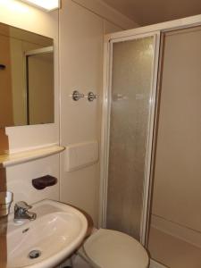 a bathroom with a shower and a sink and a toilet at Hotel Argo Lindau in Lindau +26 photos