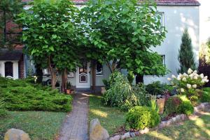 a house with a tree in the front yard at Ferienwohnung Thiedmann in Hagebök