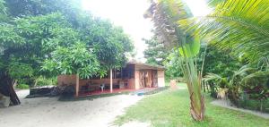 a house with a palm tree in front of it at Villa Culture in Ile aux Nattes +5 photos