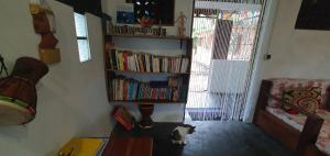 a cat standing in a room with a book shelf at Villa Culture in Ile aux Nattes