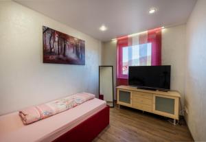 a room with a couch and a tv on a table at Müller´s Talblick in Deggingen