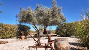 an olive tree and a barrel and a chair at Casa La Alegria 37 in Málaga