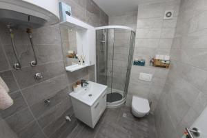 a bathroom with a shower and a toilet and a sink at Apartman Imperial 7 in Sarajevo +10 photos