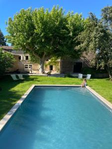 a person sitting in a swimming pool in a yard at Big Jungle in Grane