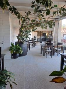 a restaurant with tables and chairs and potted plants at Casa D`Auleira in Ponte da Barca