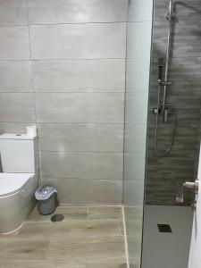 a bathroom with a shower and a toilet at El rincón del pintor in Villacañas