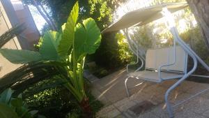 Zahrada ubytování Hotel Desiderio