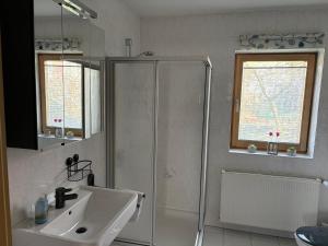a bathroom with a shower and a sink at Ferienwohnung Klara in Hilchenbach