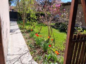 a garden with flowers and a walkway at Zen Lux in Zaječar