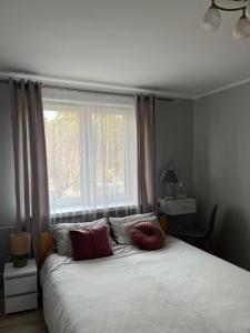 a bedroom with a large bed with a window at Apart Konopnicka in Augustów