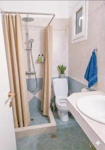 a bathroom with a toilet and a shower and a sink at Panostria Apartments Sifnos in Sifnos