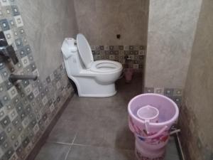 a bathroom with a toilet and a pink trash can at hotel shree krishna vaishnav in Agra +4 photos
