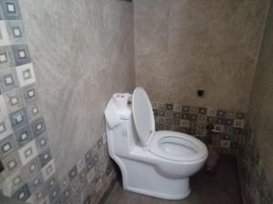 a bathroom with a white toilet in a stall at hotel shree krishna vaishnav in Agra