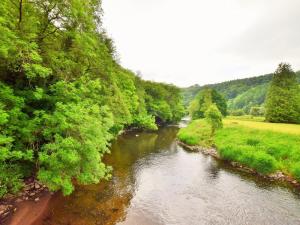 a view of a river with trees on the side at 1 Bed in Tiverton oc-wonlo in Bampton