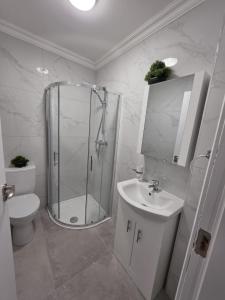 a bathroom with a shower and a toilet and a sink at Milk Market Inn in Limerick