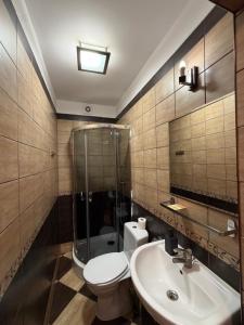 a bathroom with a shower and a toilet and a sink at Hotel City in Gniezno +31 photos