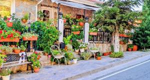 a bunch of potted plants on the side of a building at Kyperounta Troodos Mountain House! in Kyperounda
