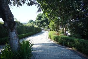 a road with trees and plants on either side at Fiona Luxury Resort in Gazipur