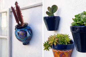 a group of potted plants are hanging on a wall at VelenaRubia in Vélez-Málaga +32 photos