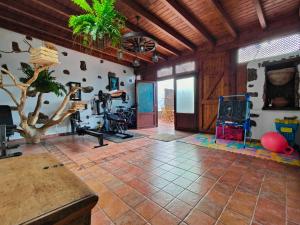 a fitness room with a gym with a tree and exercise equipment at Casa Morro Herreno in Las Breñas