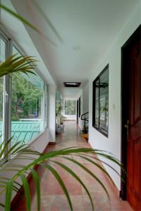 a hallway of a house with a plant at Cloud Dale Resort Munnar in Munnar