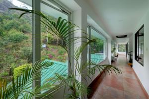 a house with a swimming pool seen from a hallway with windows at Cloud Dale Resort Munnar in Munnar
