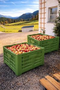 two green containers of tomatoes sitting on the ground at Bio Hof Bichler in Mariazell