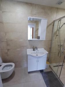 a bathroom with a sink and a toilet and a mirror at Guest House Radulj in Polače