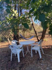 a picnic table and two chairs under a tree at The Cottage Guest House in Vale Coelho +3 photos