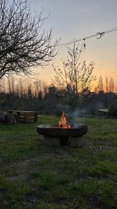 a fire pit in the middle of a field at Agriturismo Case Mori in Rimini