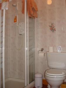 uma casa de banho com um WC e um chuveiro em Rosmo House B&B em Westport