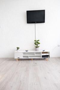 a tv on a white wall with two potted plants at Ploiești Centru in Ploieşti