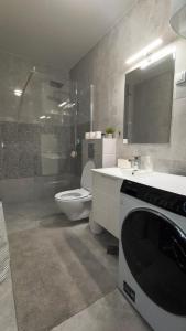 a bathroom with a sink and a toilet and a mirror at Lux Apartment Rose Avenue in Kragujevac +29 photos