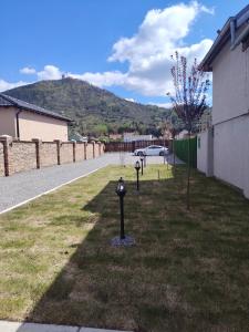 two parking meters in the grass next to a street at Apartmani Hilston in Vršac +4 photos