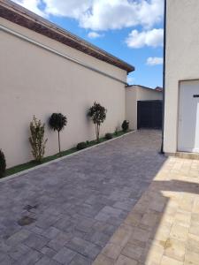 a driveway in front of a white building at Apartmani Hilston in Vršac