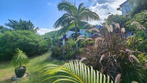 a garden with palm trees and a house with a fence at Chez Evelyne et Thierry in Saint-Leu