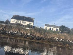 a flock of birds sitting on the side of a river at 3 Linshader in Callernish