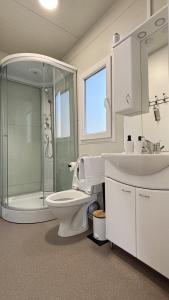 a bathroom with a shower and a toilet and a sink at Hipo camp - Mobil home Sestrica in Pakoštane +26 photos