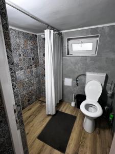 a small bathroom with a toilet and a shower at Casa Albastra in Mahmudia +20 photos