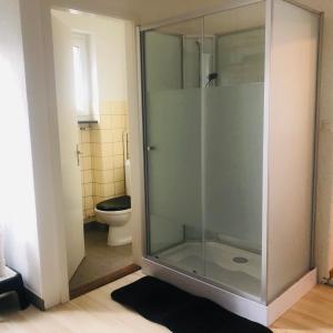 a glass shower in a bathroom with a toilet at Buddha-Loft in Solothurn