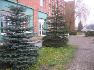 two christmas trees in front of a building at Hostelis Laurita in Kaunas