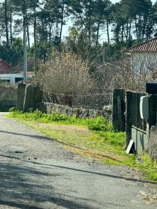 a road with a fence on the side of the road at A Casinha in Ventuzelo