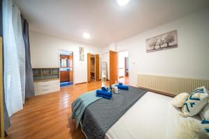 a bedroom with a large bed with blue pillows on it at Villa Stella with Jacuzzi in Oroklini