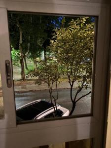 a window view of a car parked next to a tree at Palazzo Bosco in Cosenza