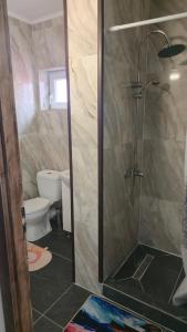 a bathroom with a shower and a toilet at Pensiunea Rozalina in Rozavlea