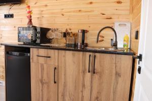 a kitchen with a sink and a microwave at Barn Peaks Karakol in Karakol